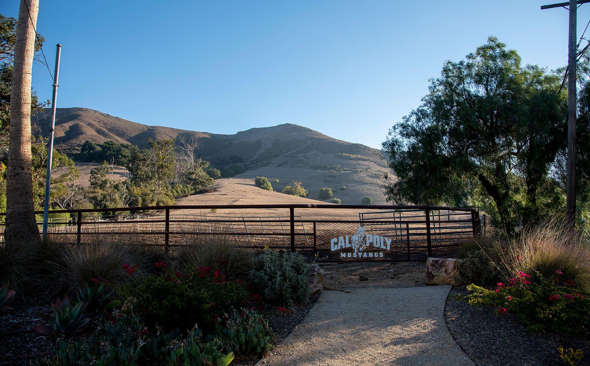 Gate with "Cal Poly Mustangs" sign in front of dry hills and blue sky, with plants and trees on either side.